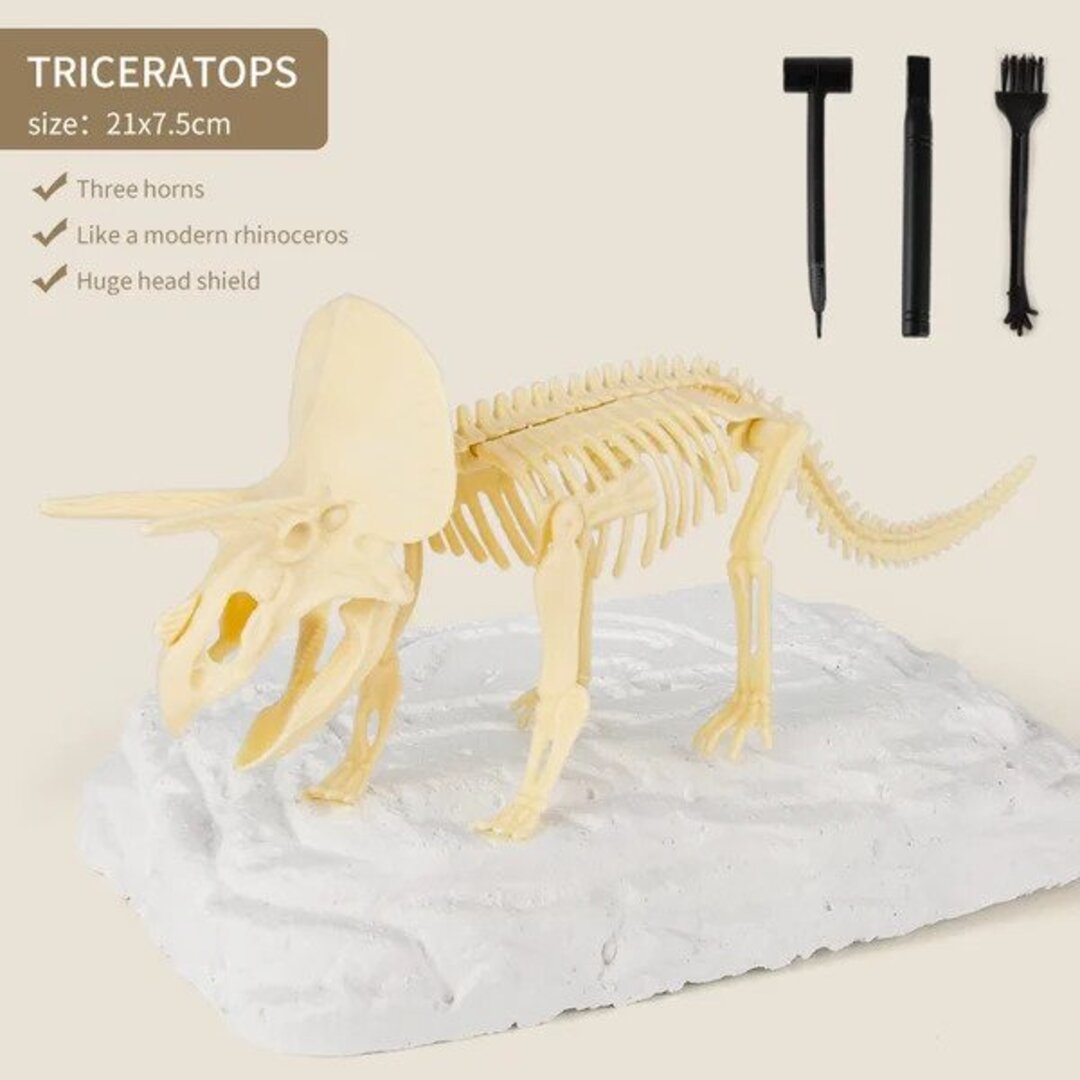 50% RABATT | Dinosaurier Fossilien Ausgrabungsset