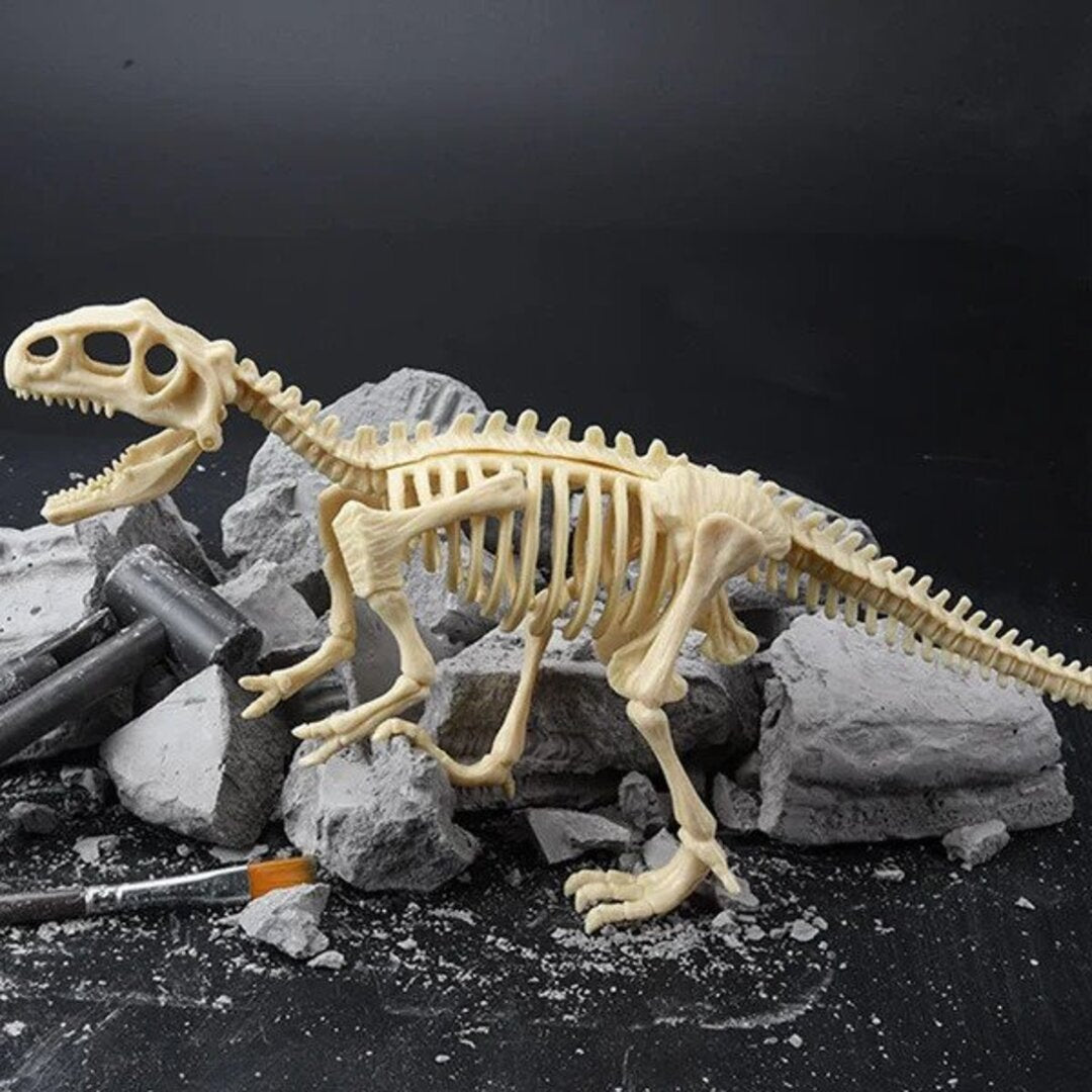 50% RABATT | Dinosaurier Fossilien Ausgrabungsset