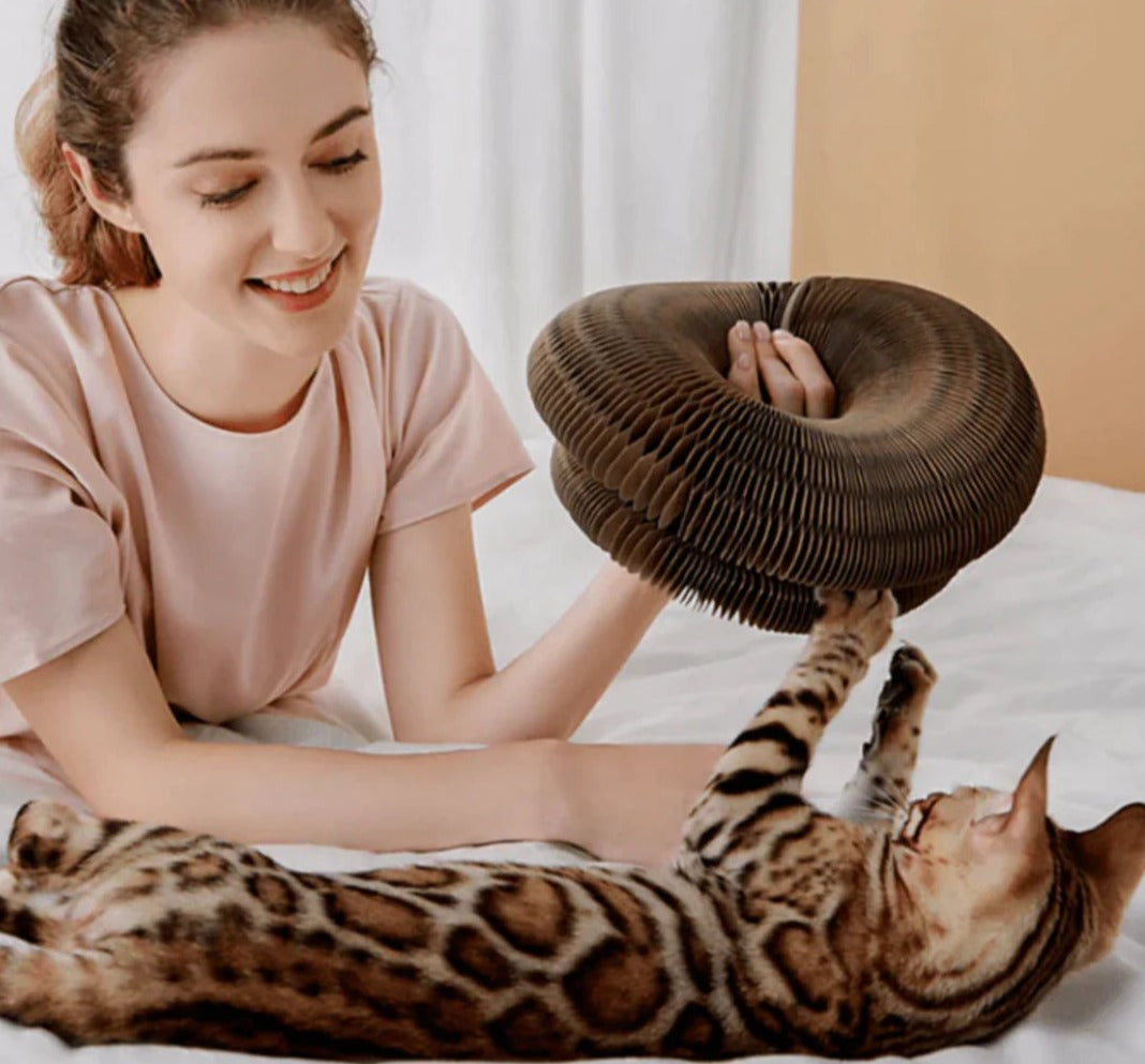 CatDonut™ - Ihre Katze wird den ganzen Tag lang süß sein!