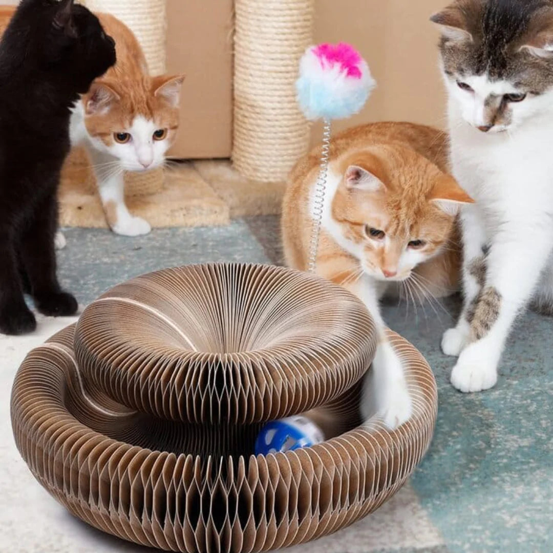 CatDonut™ - Ihre Katze wird den ganzen Tag lang süß sein!